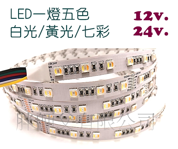 LED 5050 12V/24V 五合一軟條燈