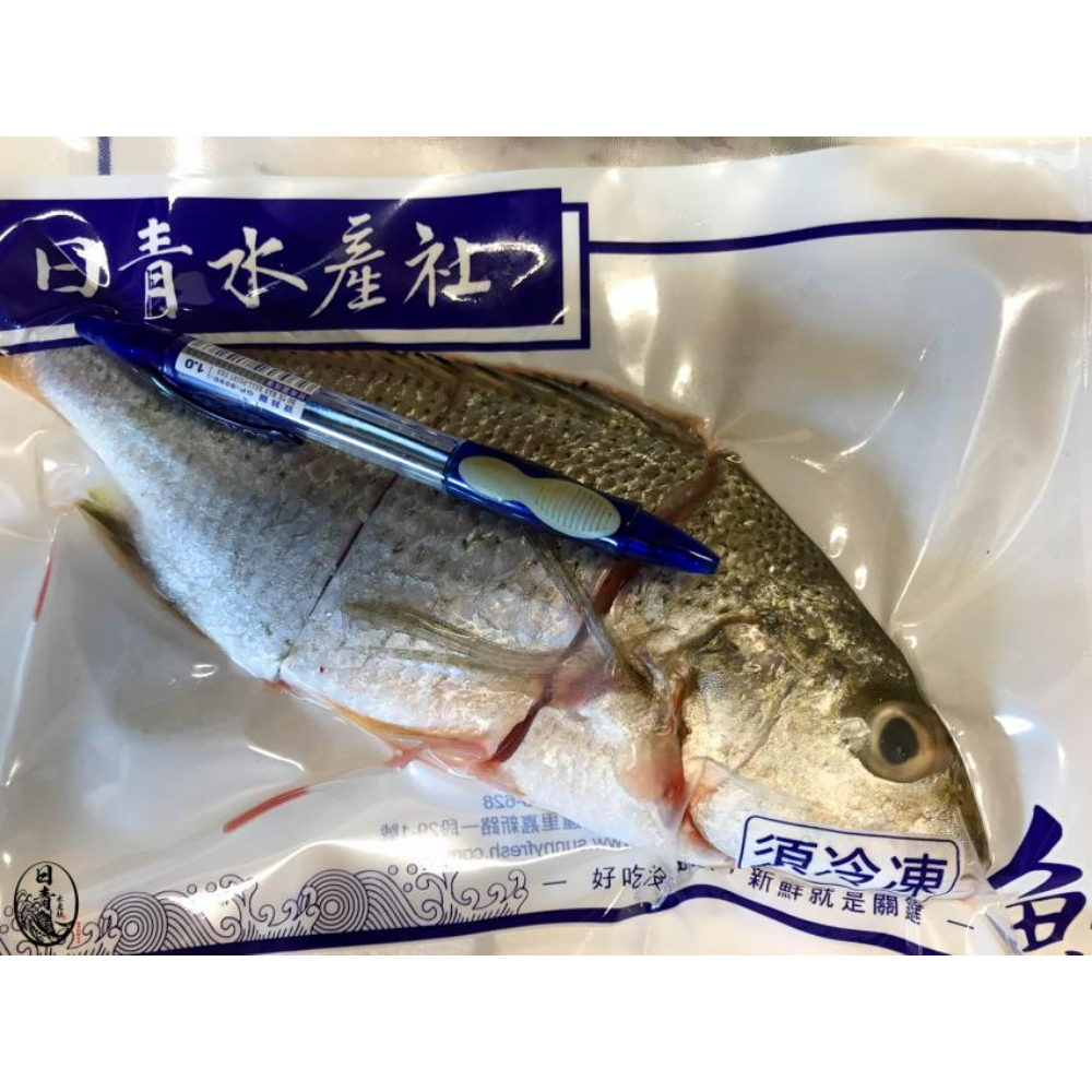 石鱸魚