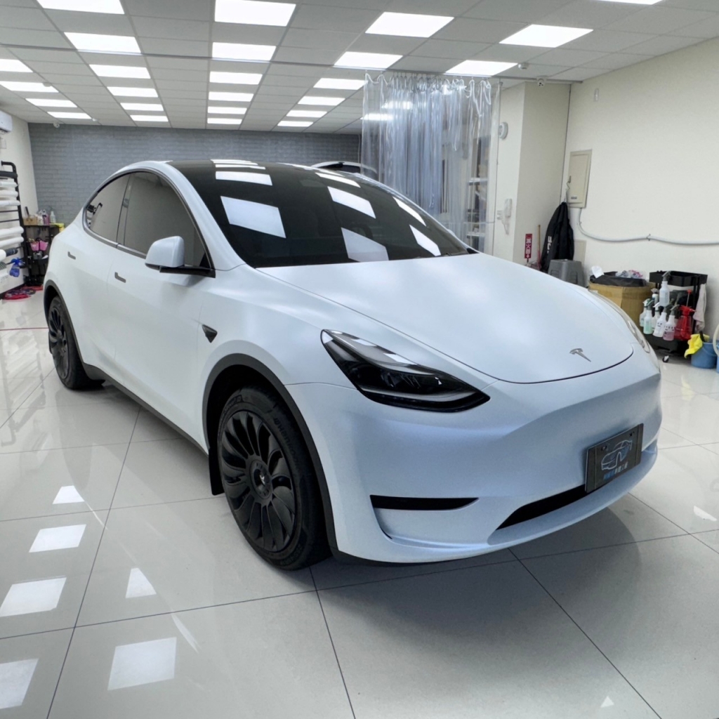 Model Y