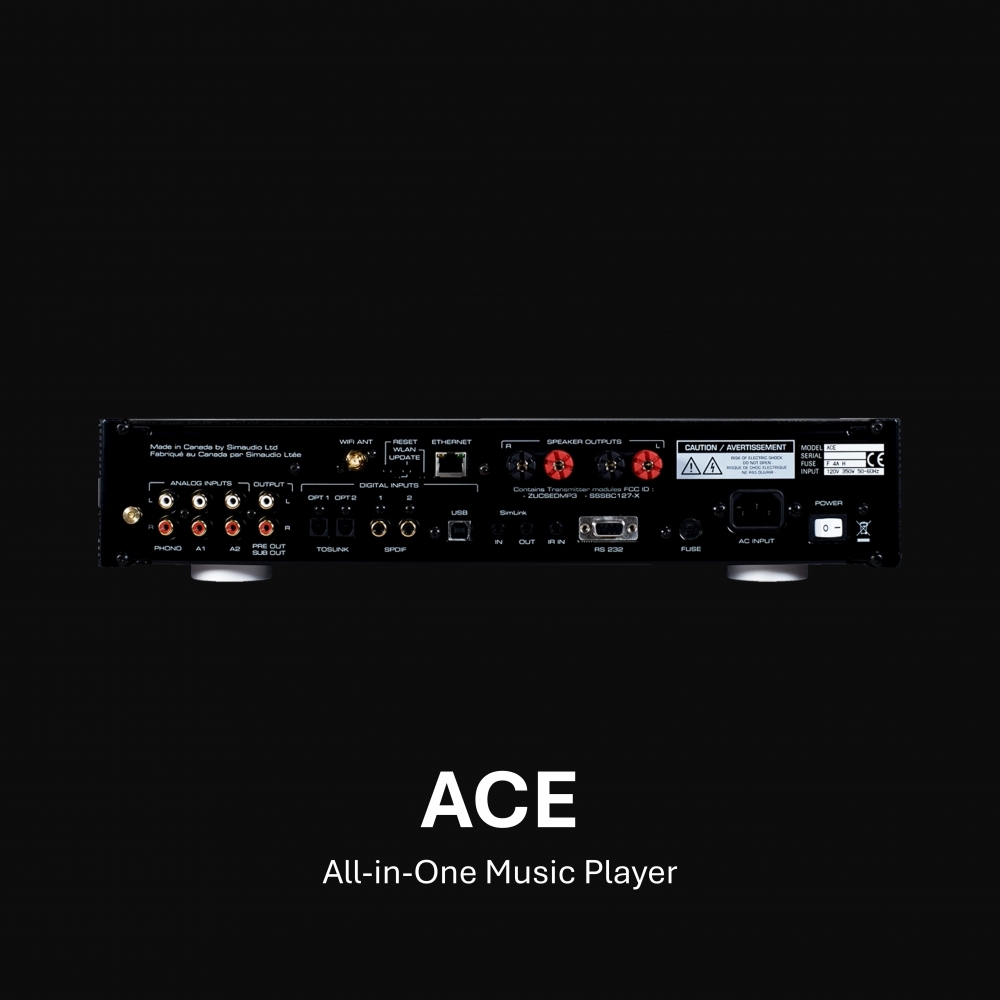 ACE 一體式音樂播放器