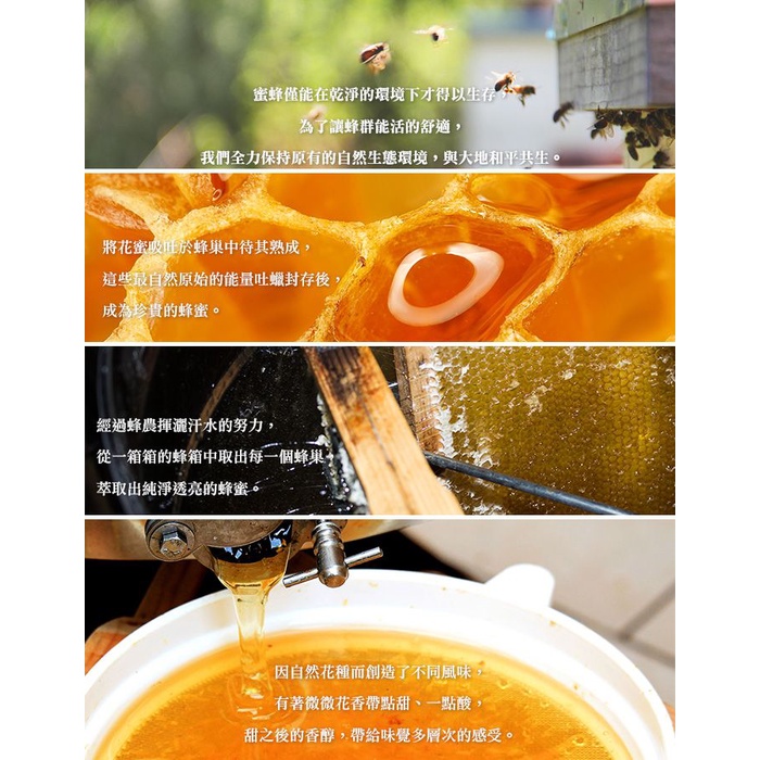 【蜂蜜世界】黃金蜂蜜禮盒-B款 龍眼蜂蜜700G+野花蜂蜜700G｜龍眼蜜 野花蜜 蜂蜜禮盒