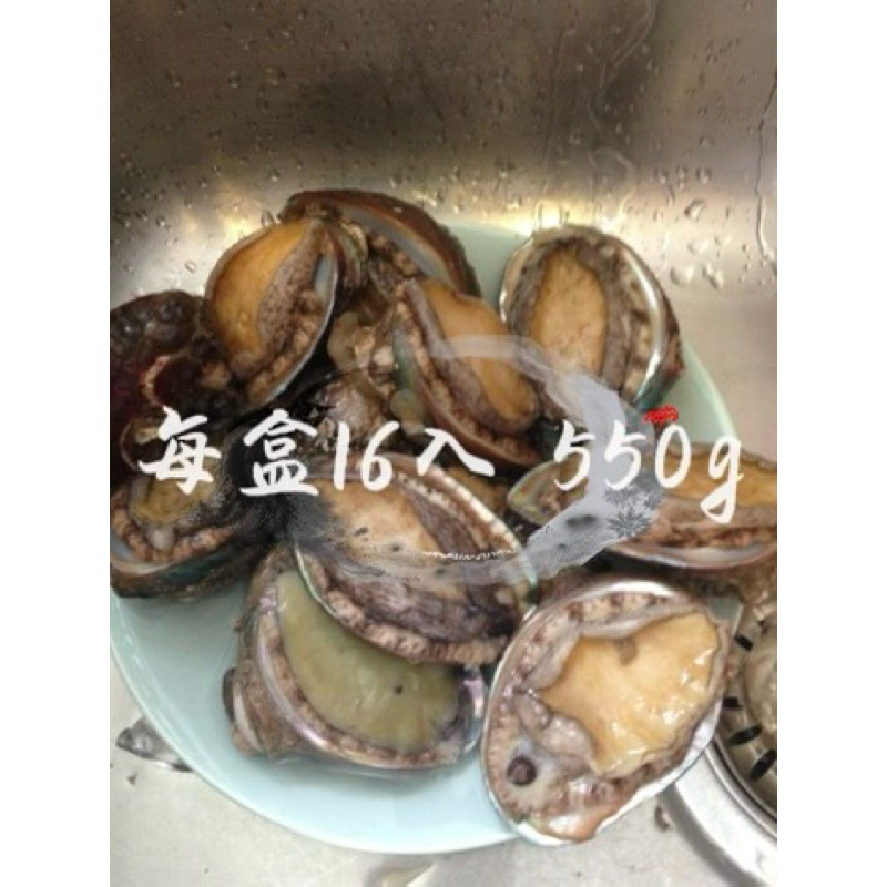 16P帶殼鮑魚