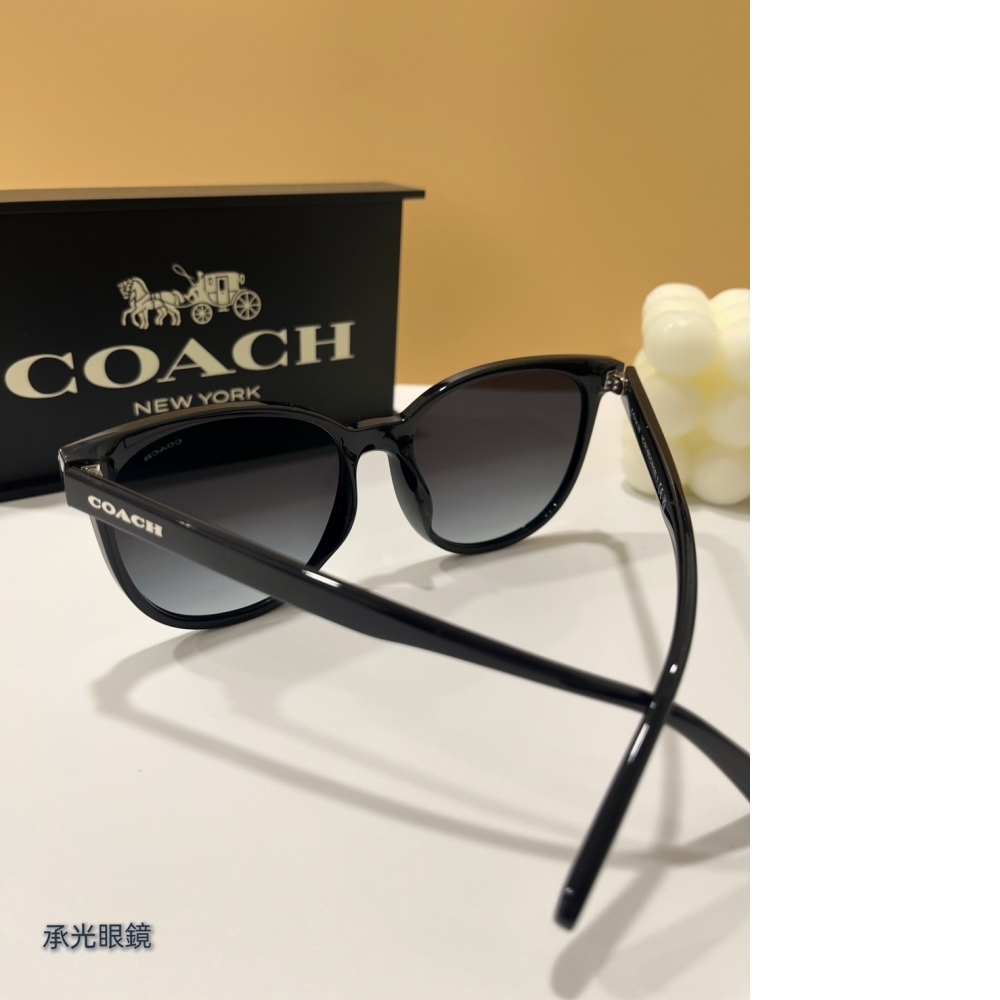 COACH 太陽眼鏡