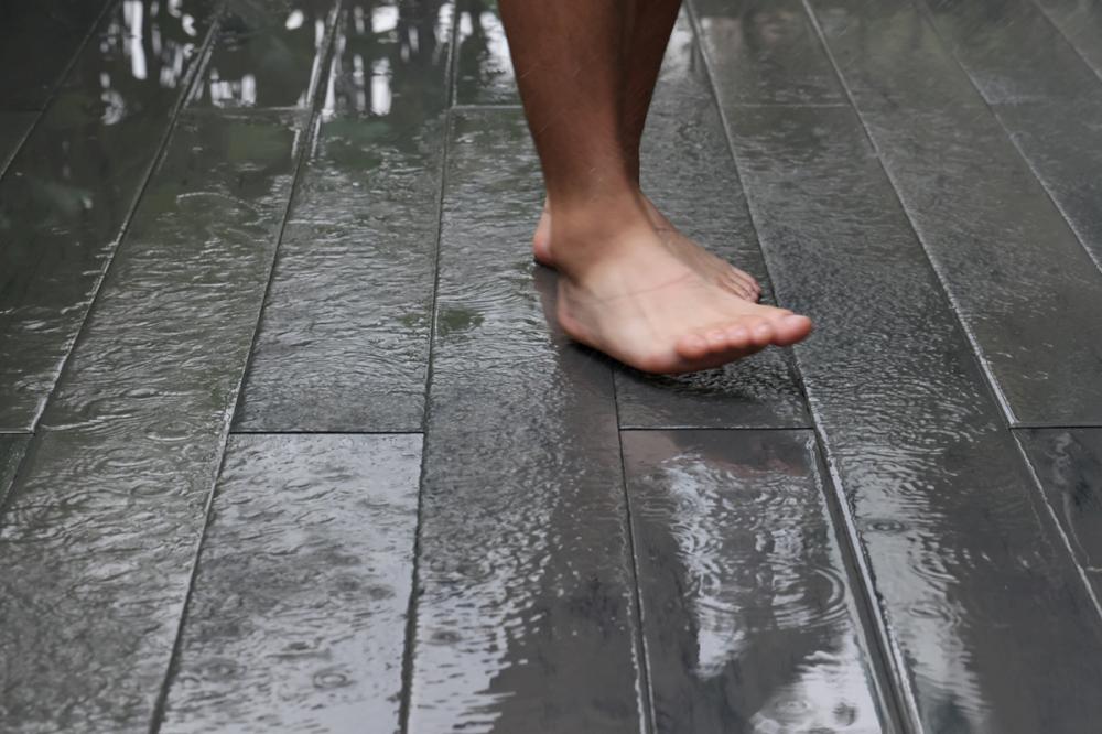 梅雨季好朋友