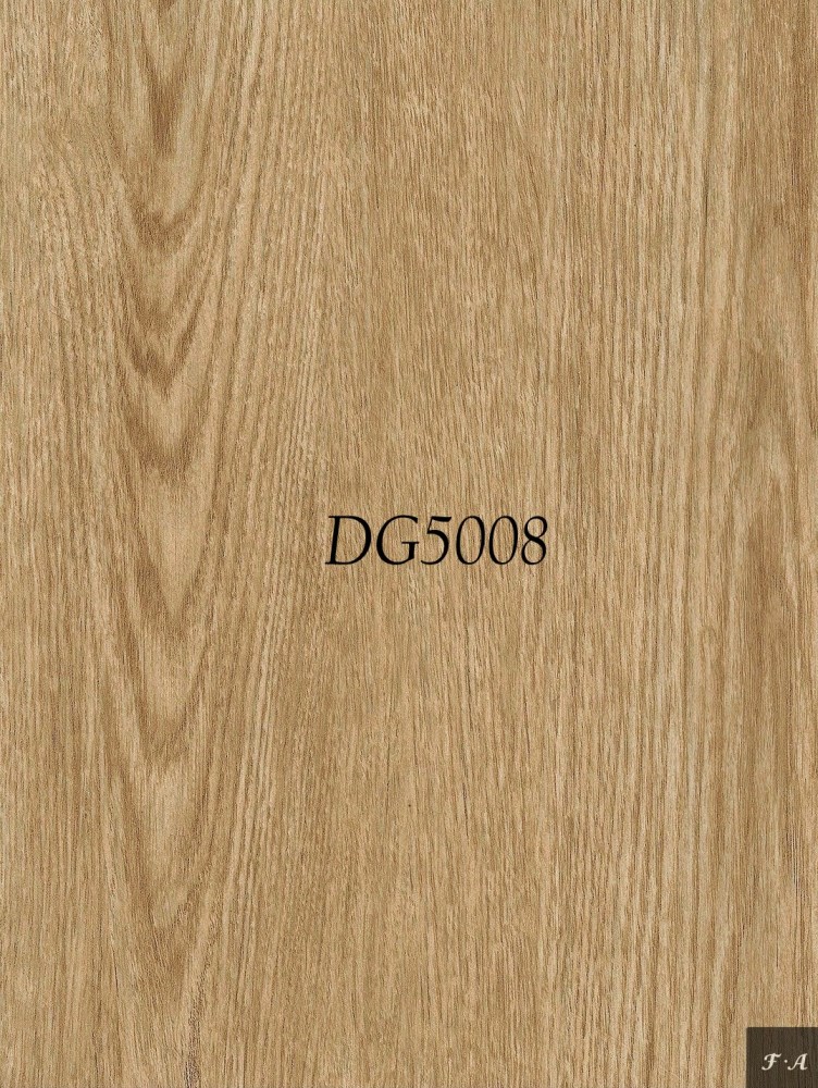 DG5008