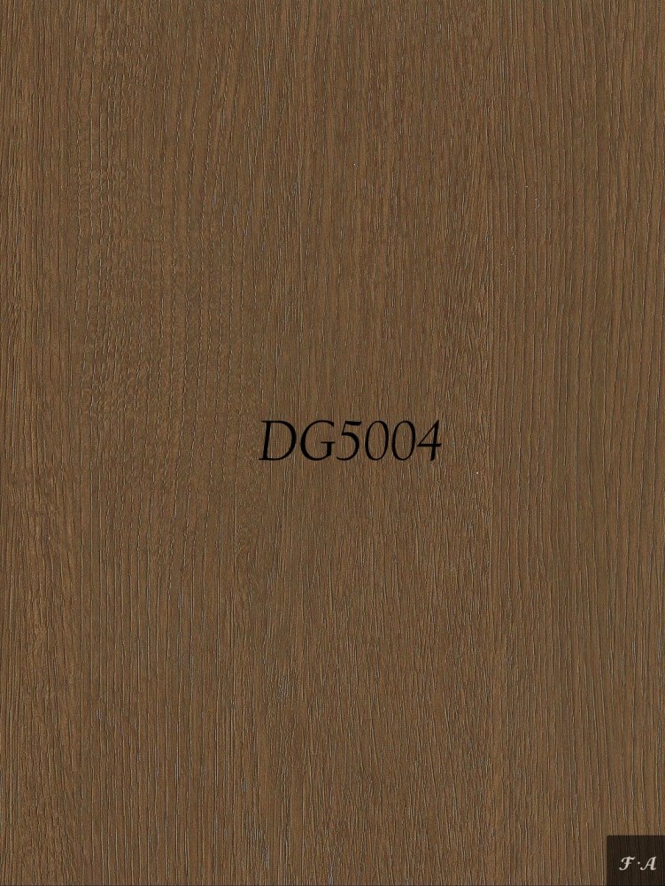 DG5004