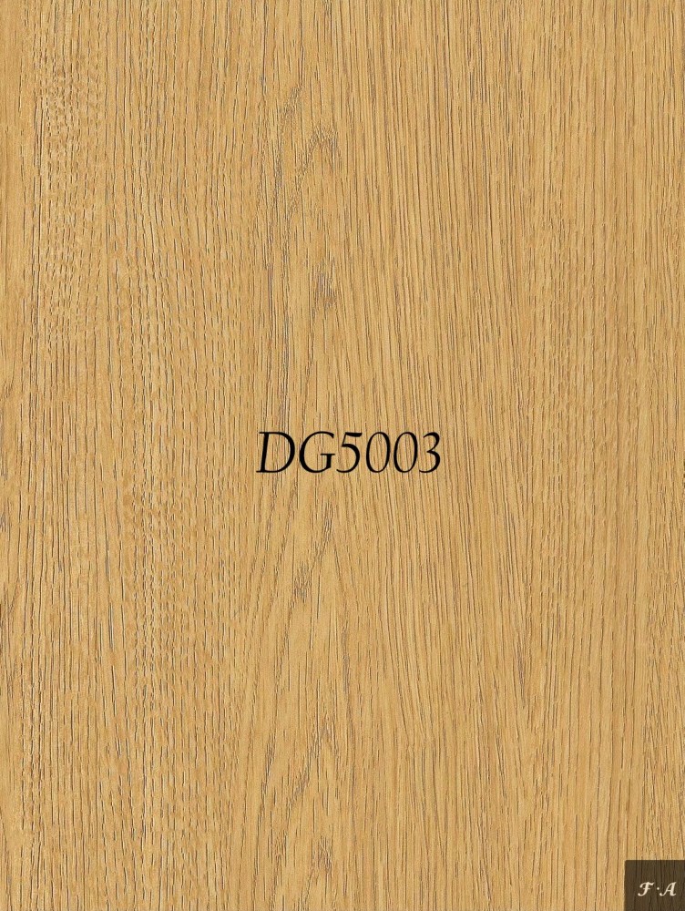 DG5003