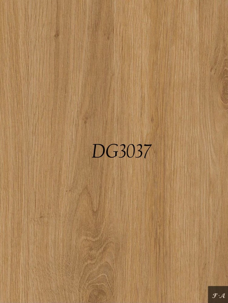 DG3037