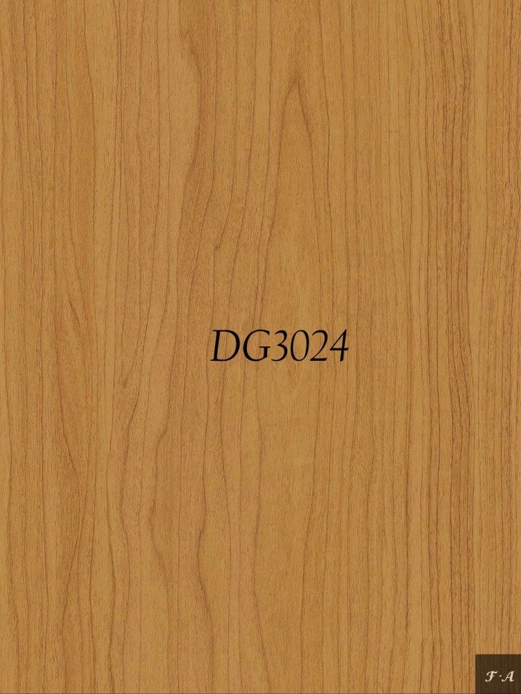 DG3024