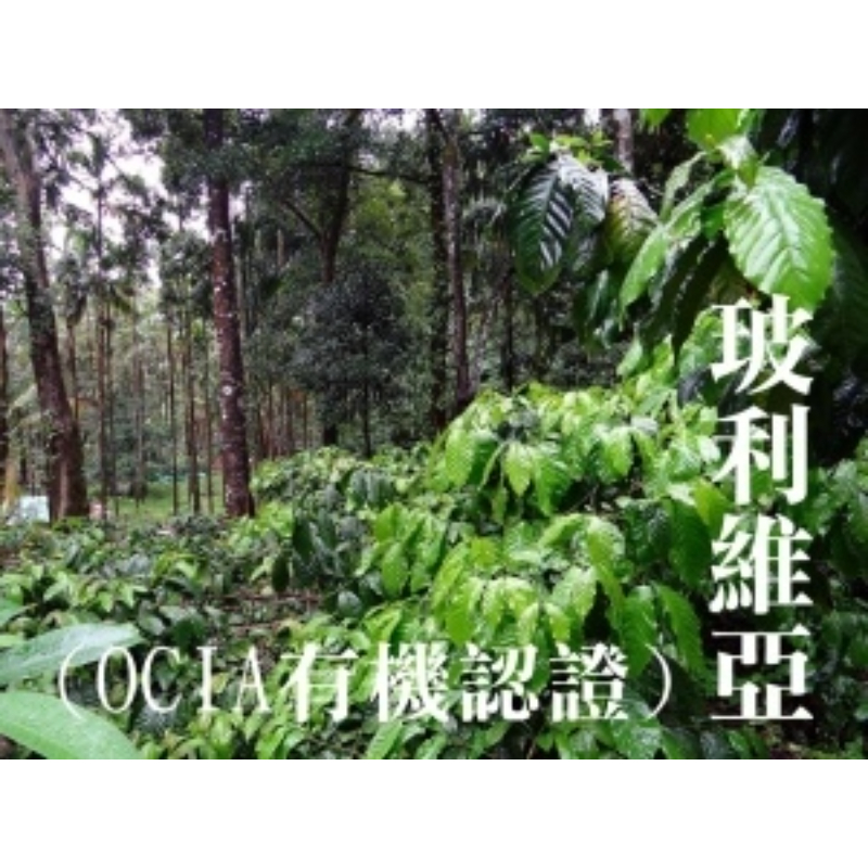 玻利維亞(OCIA)