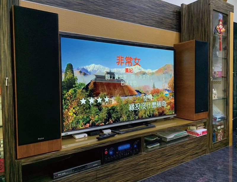 【麥迪遜組合】主題KTV~!!台灣第一品牌 MIPRO MI-858 UHF雙頻道自動選訊無線麥克風】正台製POISE雙10吋落地喇叭+KARMEN X3大功率綜合擴大機+MIPRO 嘉強正U頻無線麥