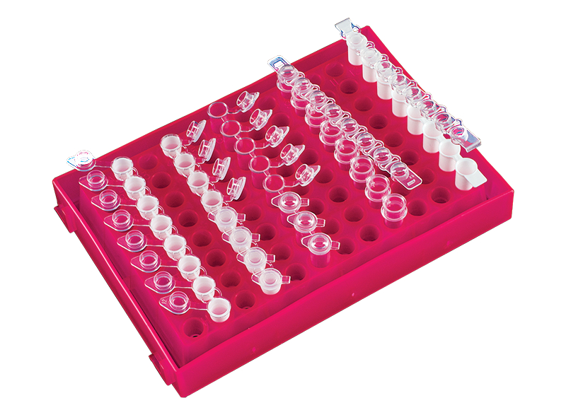 PCR管架 96孔 