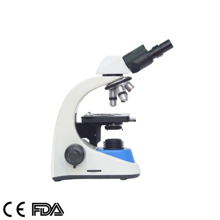 Biological Microscope, MSC-B208(Siedentopf)