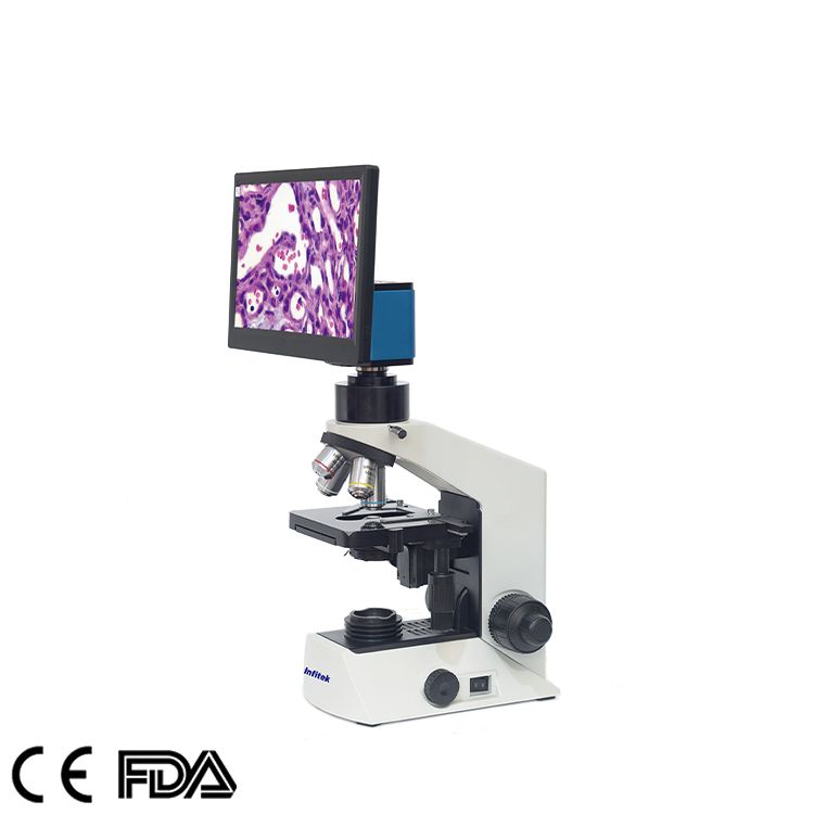 Digital Microscope With Video, MSC-V201