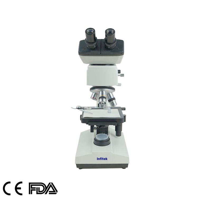 Fluorescence Microscope, MSC-F107