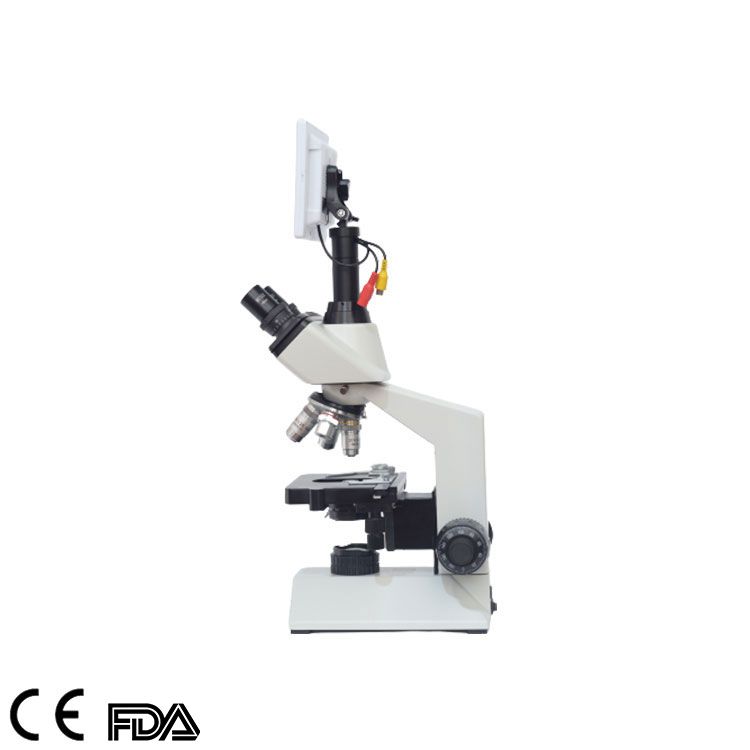 Biological Microscope, MSC-B102T(Siedentopf)