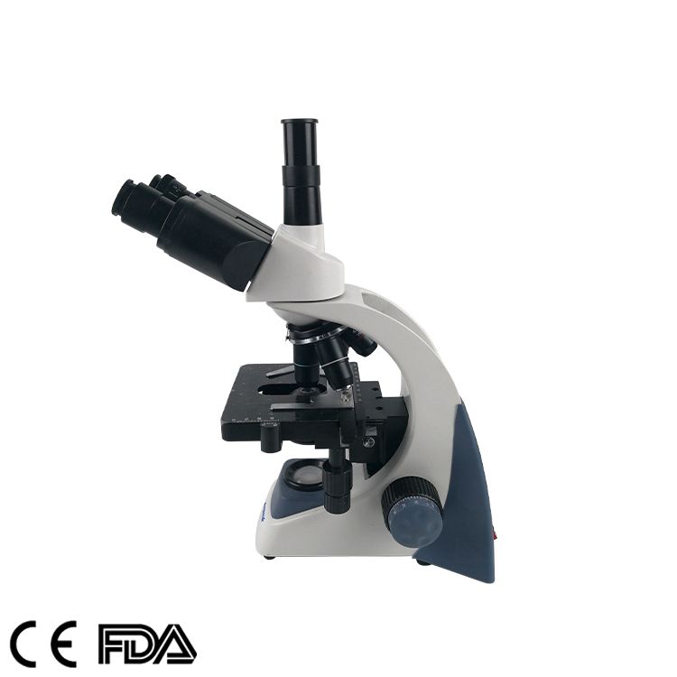 Biological Microscope, Multi-Purpose, MSC-B500SM