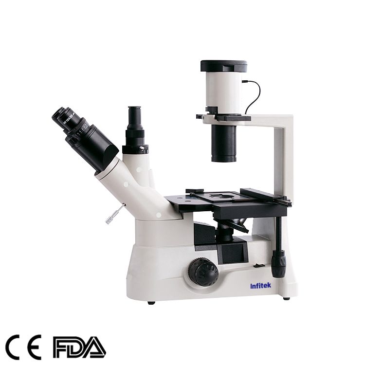 Inverted Trinocular Microscope, MSC-IV403