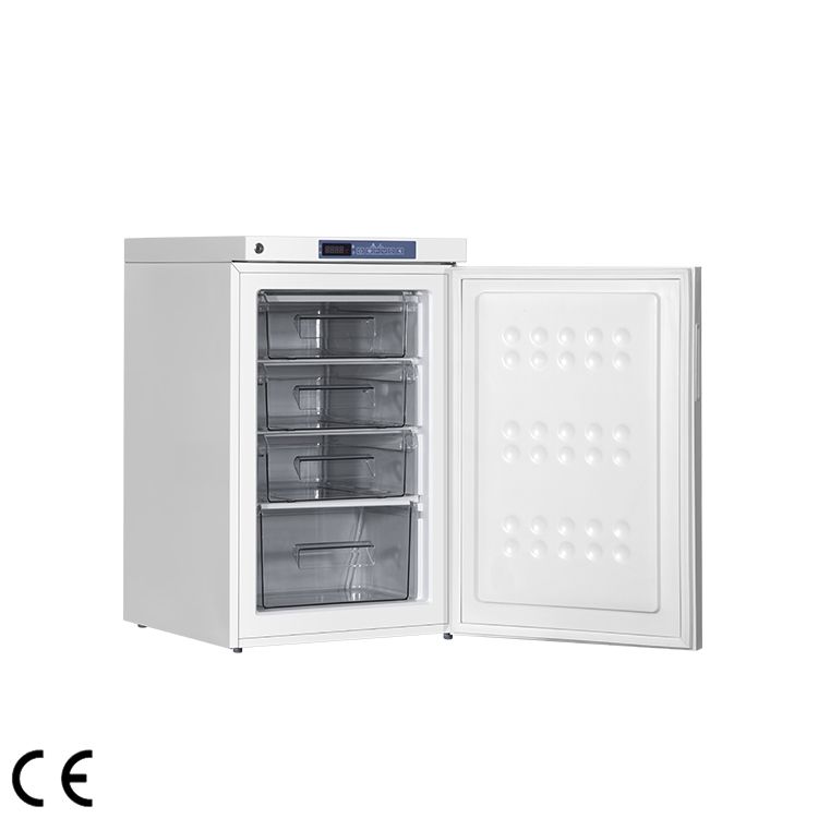 -25℃ Vertical Freezer, LF25-100