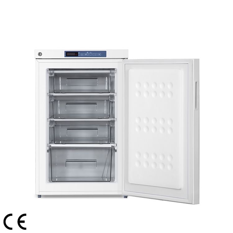 -25℃ Vertical Freezer, LF25-100