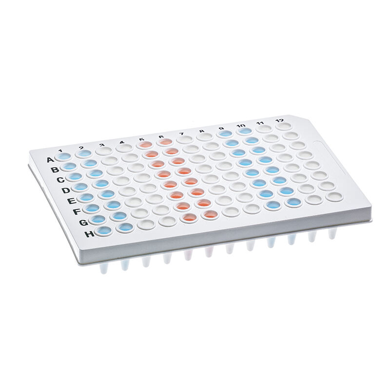 CellProBio 96 Well Semi Skirted PCR Plate