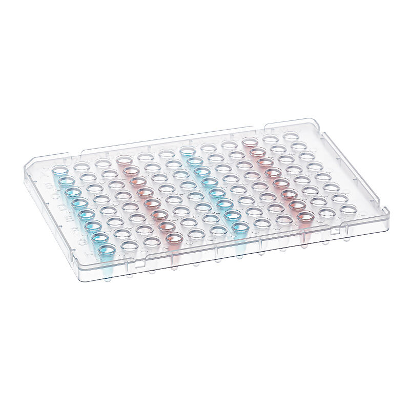 CellProBio 96 Well Semi Skirted PCR Plate