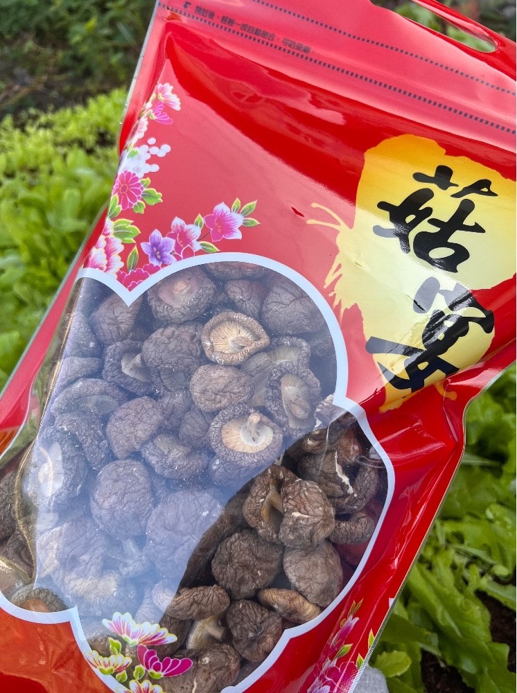 鈕扣菇(乾) 100