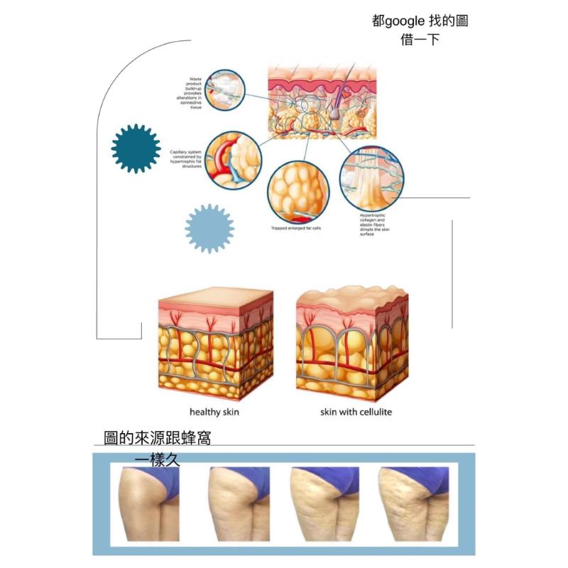 橘皮課程｜台北橘皮課程