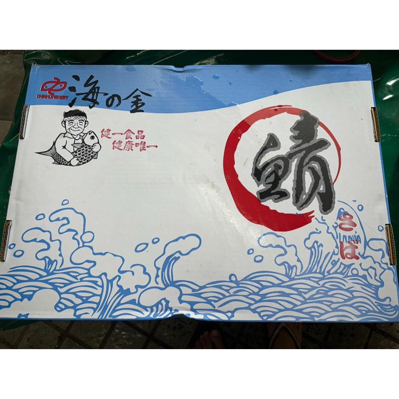 挪威鯖魚