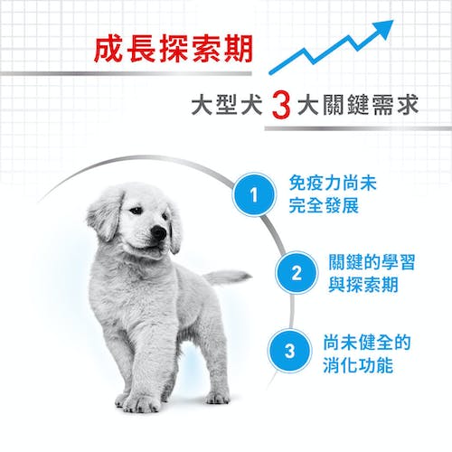 法國皇家 大型幼犬 MAXI 16kg