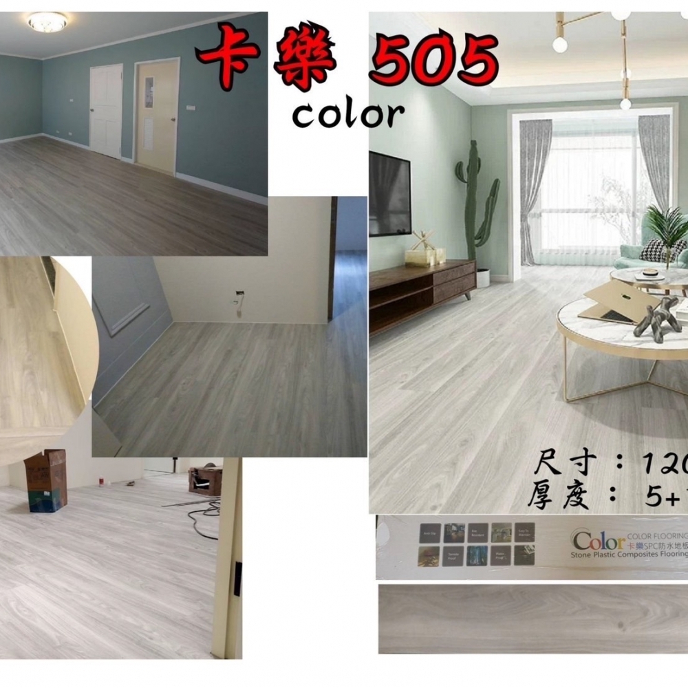 Color 5｜50