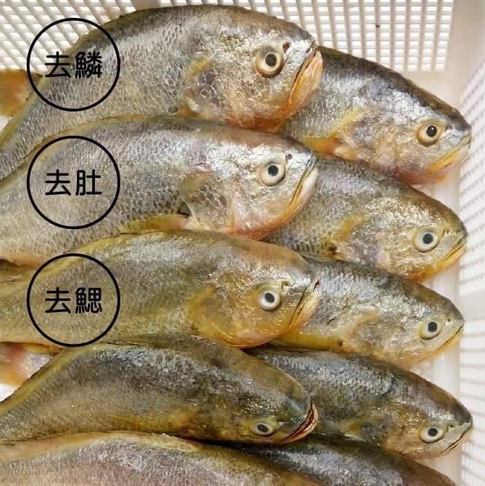 三去大黃魚