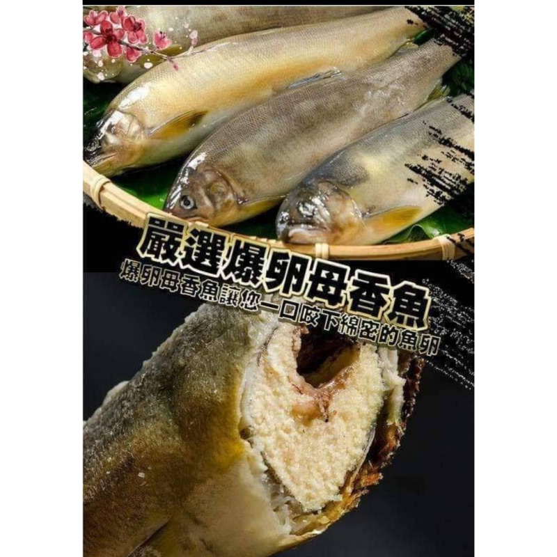 宜蘭母香魚12p