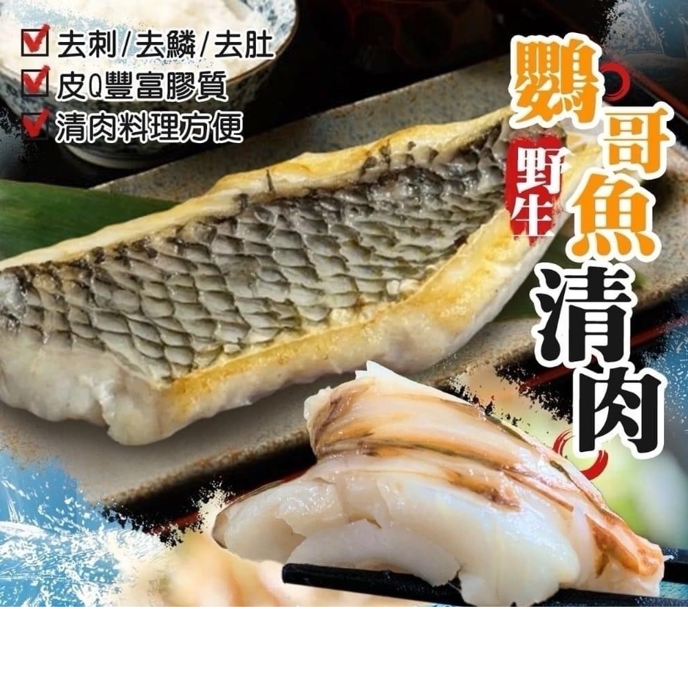 野生鸚哥魚清肉