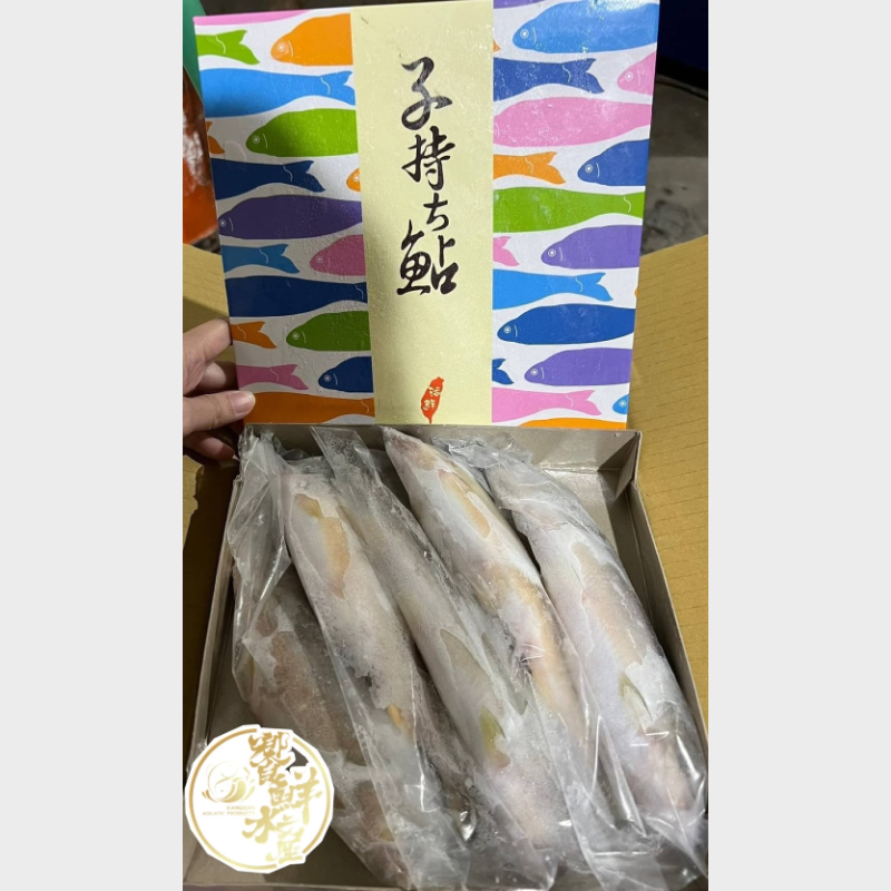 宜蘭抱卵母香魚