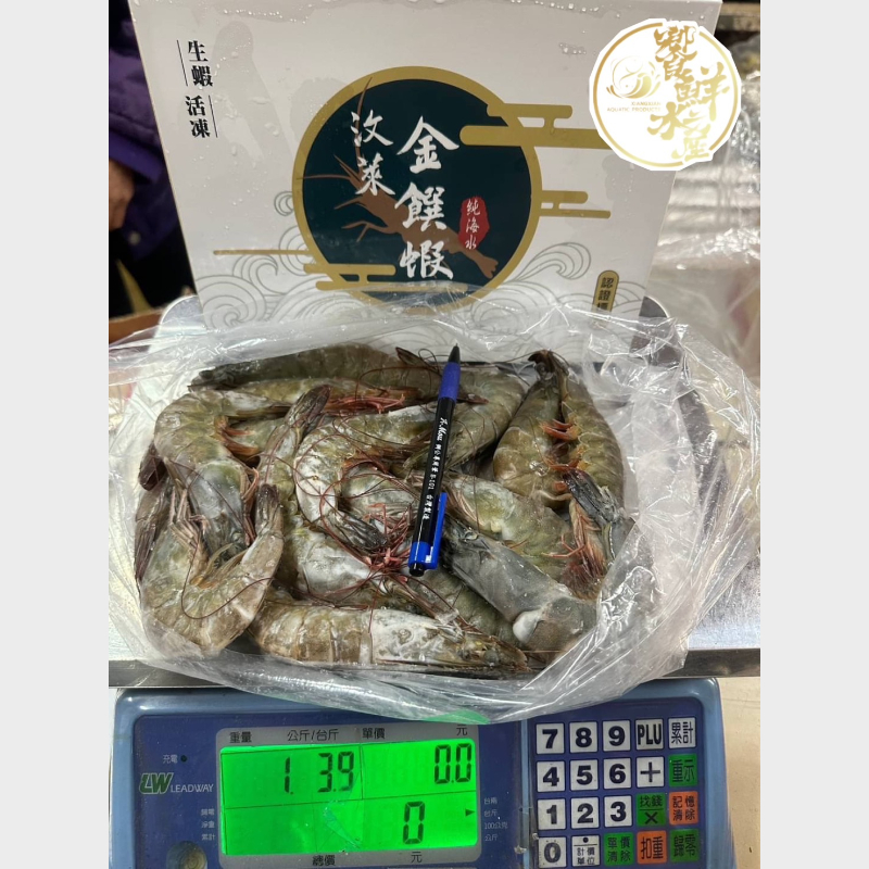 汶萊金鑽蝦31-35