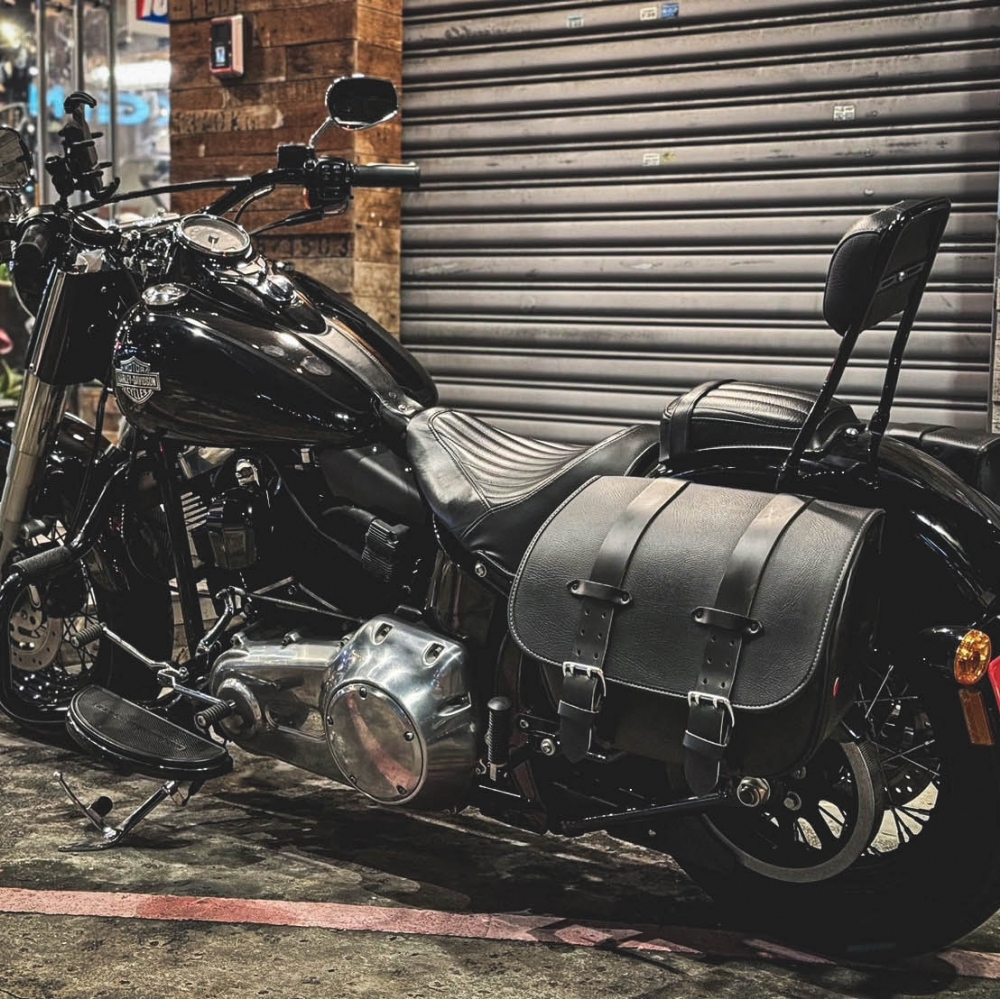 2015 Harley-Davison Softail Slim