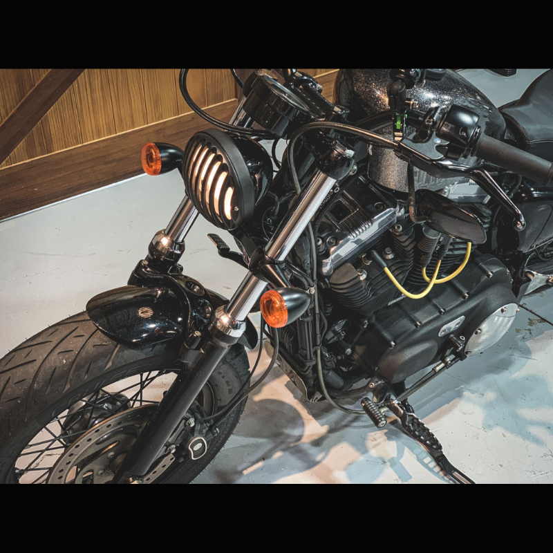 2015 Harley-Davison Sportster Forty Eight