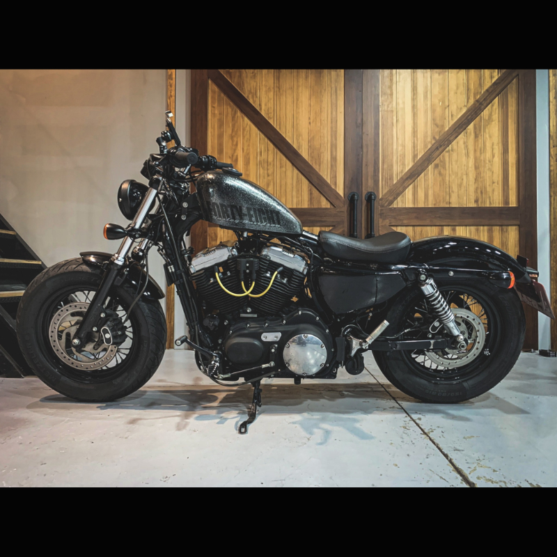 2015 Harley-Davison Sportster Forty Eight