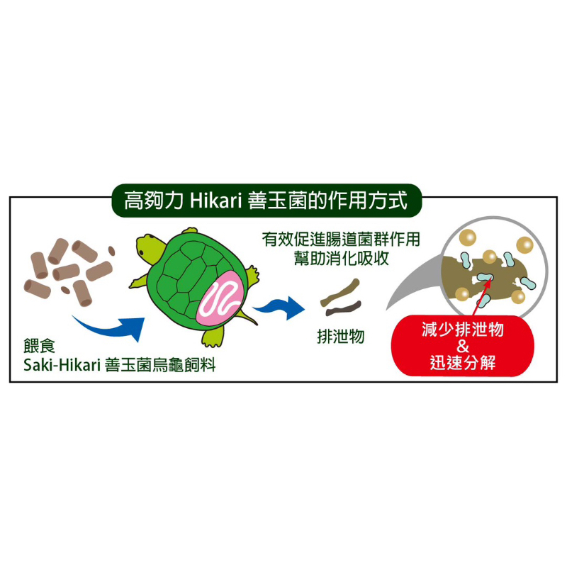 Hikari高夠力 善玉箘 M顆粒大小-200g