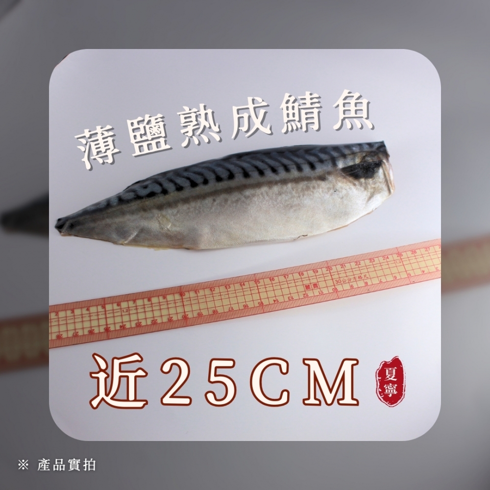 挪威鯖魚