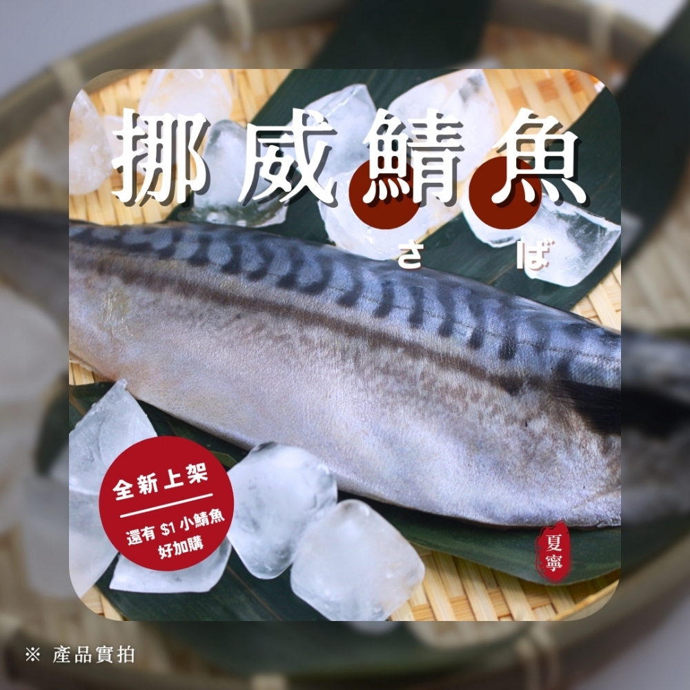 挪威鯖魚