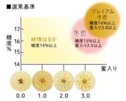 日本 山形 限量頂級 冬戀 蜜蘋果 禮盒版 6玉