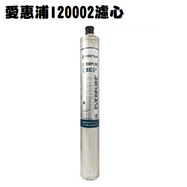 EVERPURE愛惠浦【公司貨】製冰機專用 I20002 濾心【 9000加侖】