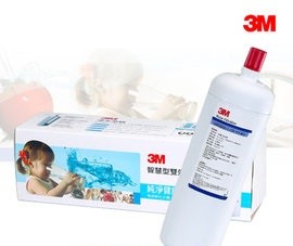 3M DWS6000