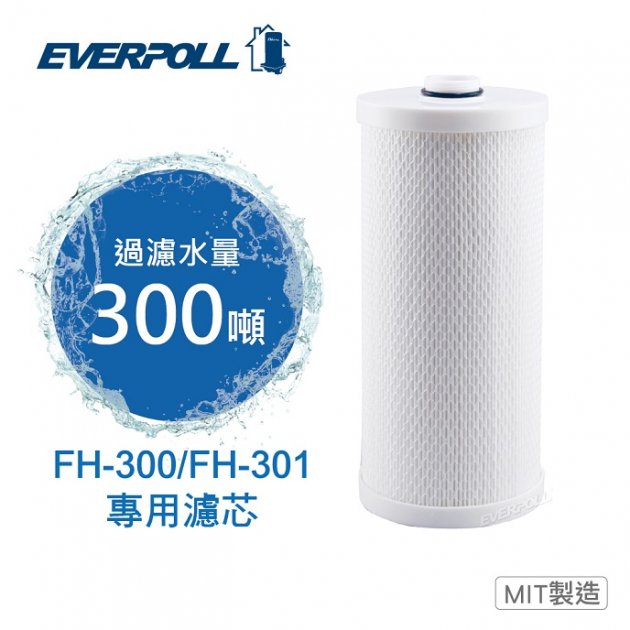 【 EVERPOLL】傳家寶全戶濾淨專用 FH-030濾芯/濾心FH030【保證公司原廠】【免運費送