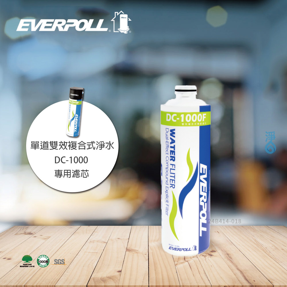 【EVERPOLL】單道效複合式淨水器DC-1000F專用濾心 雙效淨化有效過濾重金屬DC1000F濾心 