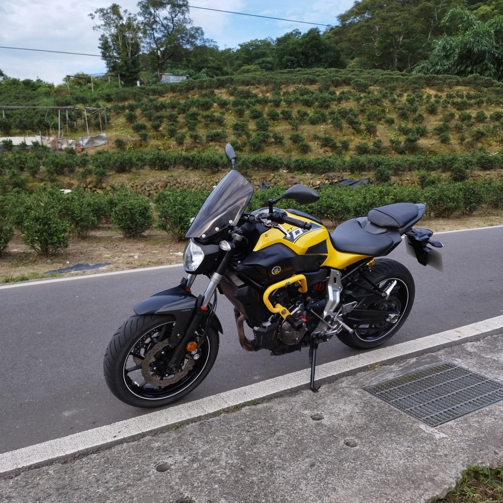 【2015 YAMAHA MT-07】