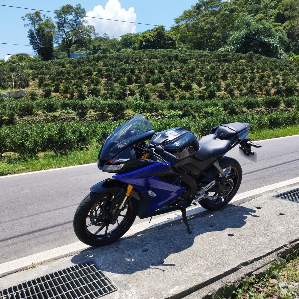 【2019 YAMAHA YZF-R15V3】