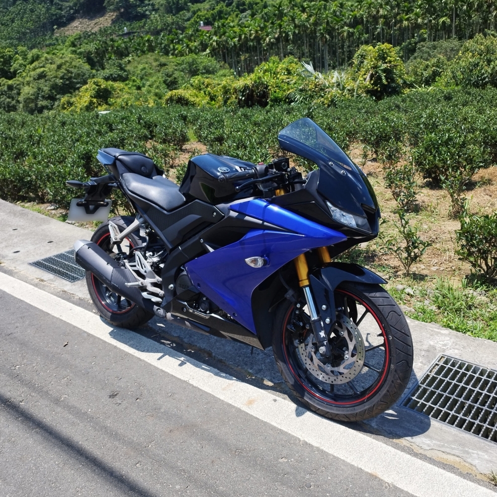 【2019 YAMAHA YZF-R15V3】